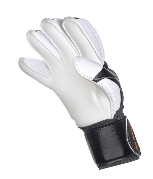 Rękawice bramkarskie Select 03 YOUTH V25