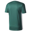 Koszulka męska adidas Entrada 18 zielona piłkarska, sportowa