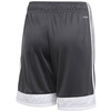 Spodenki dla dzieci adidas Tastigo 19 Shorts szare DP3255/DP3175