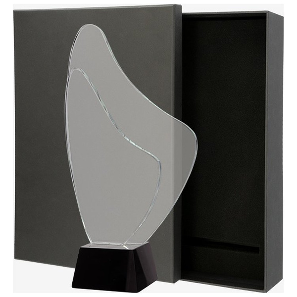 Trofeum szklane z Etui C070