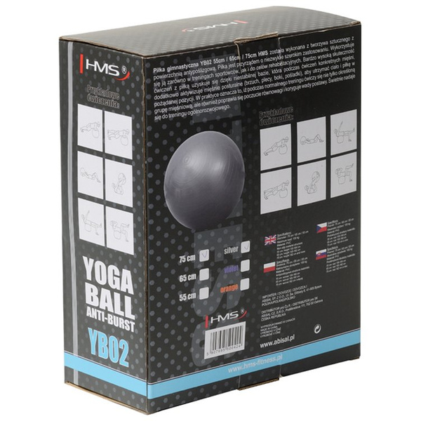 Piłka gimnastyczna 75cm Graphittle Anti-Burst 17-42-179