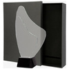 Trofeum szklane z Etui C070