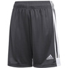 Spodenki dla dzieci adidas Tastigo 19 Shorts szare DP3255/DP3175
