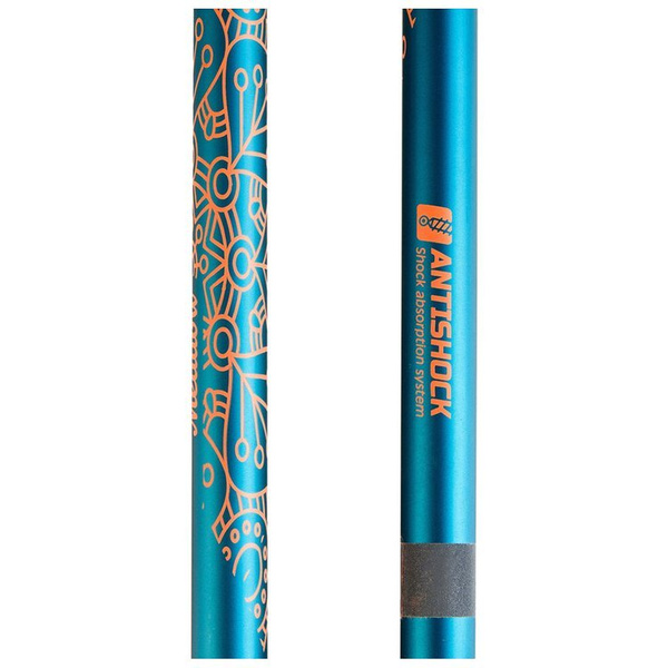 Kijki do Nordic Walking Spokey Meadow
