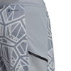 Spodenki bramkarskie męskie adidas Condivo 22 GK szare HB1628
