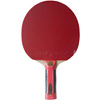 Rakietka do ping ponga New Atemi 2000 Pro concave