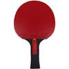 Rakietka do ping ponga Butterfly Ovtcharov Ruby 25726
