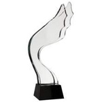 Trofeum szklane C049