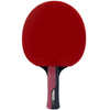 Rakietka do ping ponga Butterfly Ruby