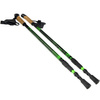 Kijki Nordic Walking Scout Bjorn zielone 3cz