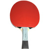 Rakietka do ping ponga Butterfly Timo Boll SG77 85027
