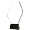 Trofeum szklane z Etui C069