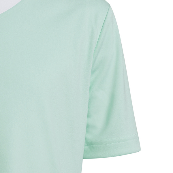 Koszulka dla dzieci adidas Entrada 22 Jersey błękitny