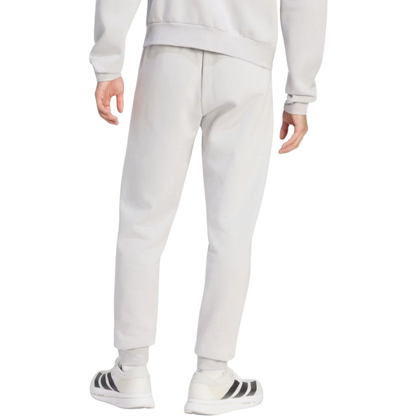 Spodnie męskie adidas Entrada 26 Sweat szare JZ9139