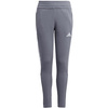 Spodnie dla dzieci adidas Tiro 23 League Sweat szare HZ3020