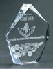 Trofeum szklane T C036