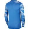 Bluza bramkarska męska Nike Dry Park IV JSY LS GK niebieska CJ6066 463