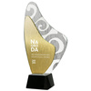 Trofeum szklane z Etui C070
