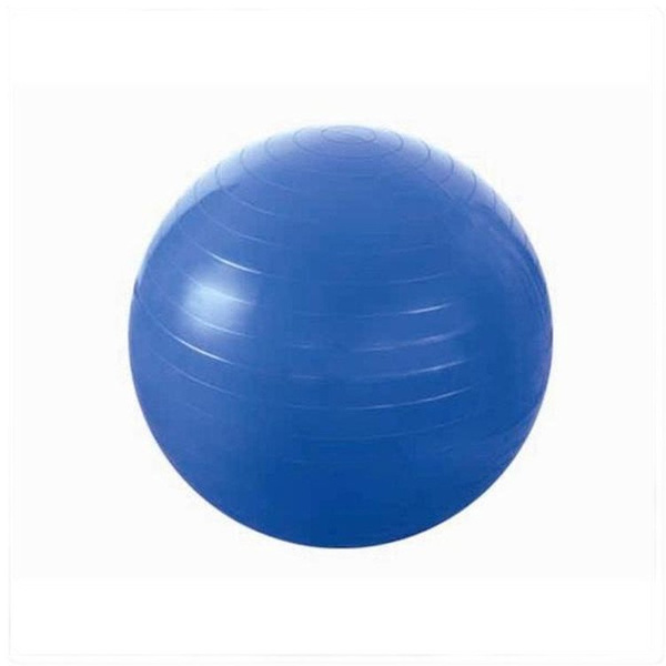 Piłka gimnastyczna fitness HMS YB01 55 CM niebieska