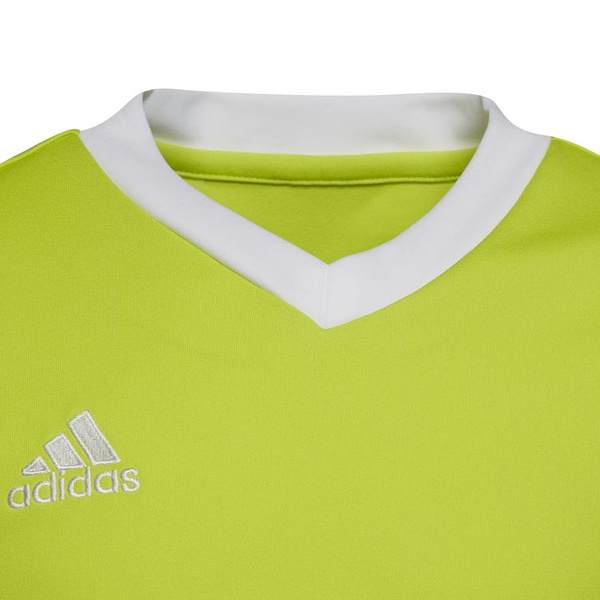 Koszulka dla dzieci adidas Entrada 22 Jersey zielony