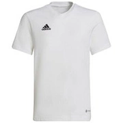 adidas Piłkarska Koszulka Tabela 18 Climalite Junior CE8935