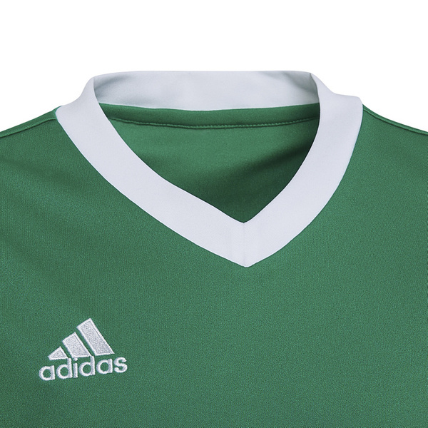 Koszulka dla dzieci adidas Entrada 22 Jersey zielony