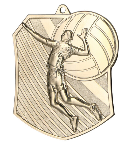 Medal metalowy srebrny SIATKÓWKA MD8047