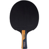 Rakietka do ping ponga Butterfly Carbon