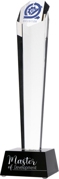 Trofeum szklane 30cm grawerowane z etui G003-30