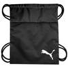 Worek na buty Puma teamGOAL 23 Gym czarny 76853 03