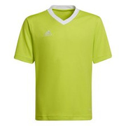 Koszulka dla dzieci adidas Entrada 22 Jersey zielony